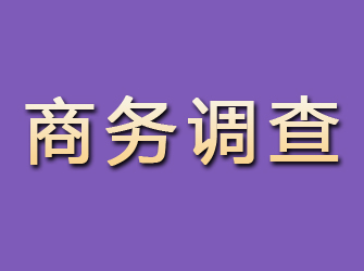 带岭商务调查