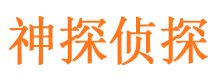 带岭市私家侦探